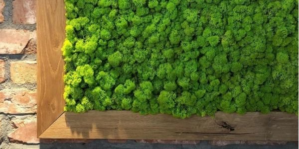 Cidades cinzas e os novos tempos que estão a chegar