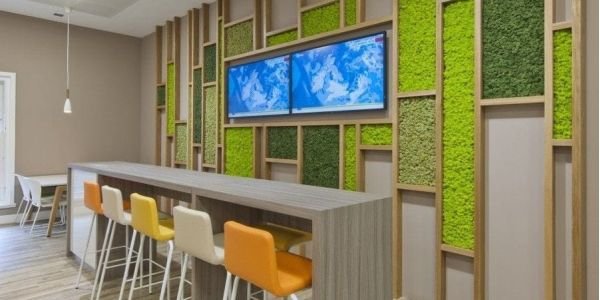 Jardim vertical: 5 motivos para ter um no seu ambiente